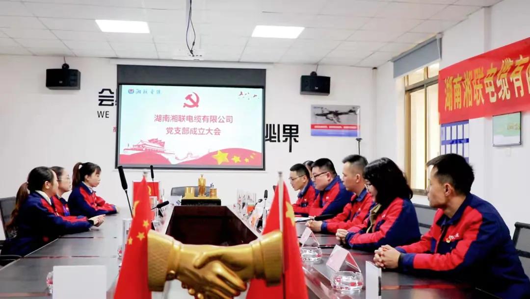 新征程 | 熱烈祝賀湖南湘聯電纜有限公司黨支部正式成立！